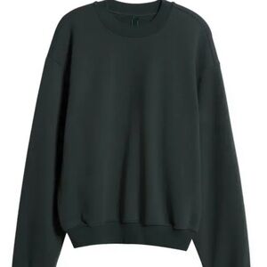 Skims Sweatshirt Spruce